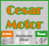 Cesar Motor