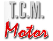 TCM Motor